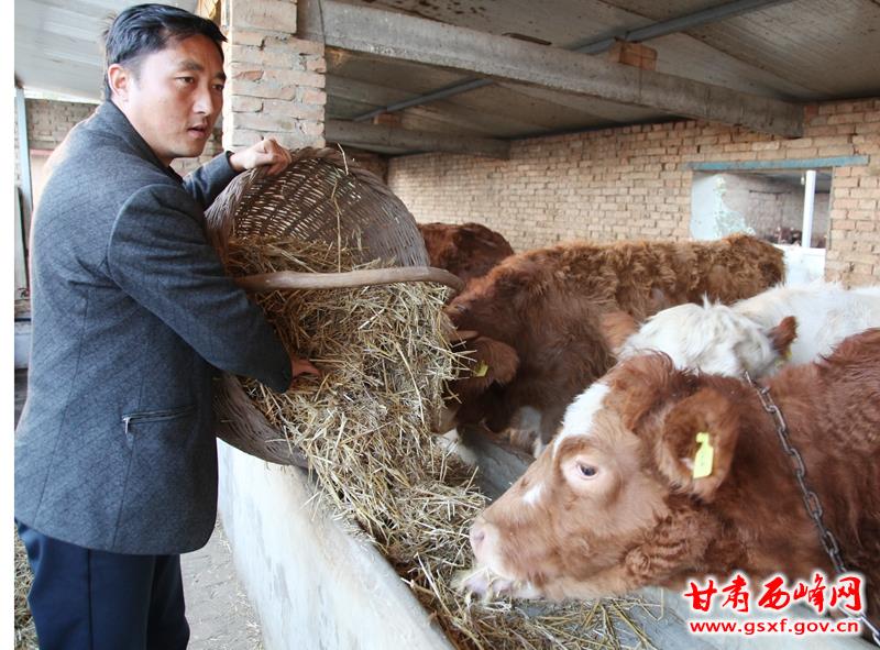 IMG_1486_副本_副本.jpg IMG_1486_副本_副本.jpg